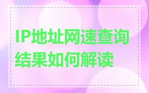 IP地址网速查询结果如何解读