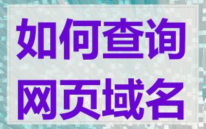如何查询网页域名