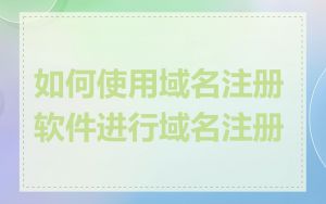 如何使用域名注册软件进行域名注册