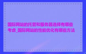 国际网站的托管和服务器选择有哪些考虑_国际网站的性能优化有哪些方法