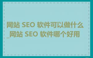网站 SEO 软件可以做什么_网站 SEO 软件哪个好用