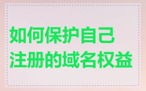 如何保护自己注册的域名权益