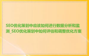 SEO优化策划中应该如何进行数据分析和监测_SEO优化策划中如何评估和调整优化方案
