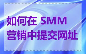 如何在 SMM 营销中提交网址