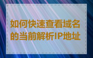如何快速查看域名的当前解析IP地址