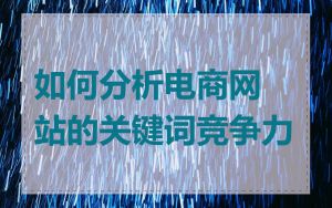 如何分析电商网站的关键词竞争力