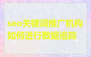 seo关键词推广机构如何进行数据追踪