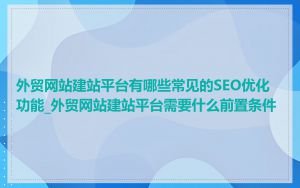 外贸网站建站平台有哪些常见的SEO优化功能_外贸网站建站平台需要什么前置条件