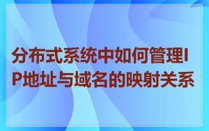 分布式系统中如何管理IP地址与域名的映射关系