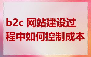 b2c 网站建设过程中如何控制成本