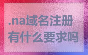 .na域名注册有什么要求吗