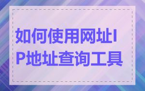 如何使用网址IP地址查询工具