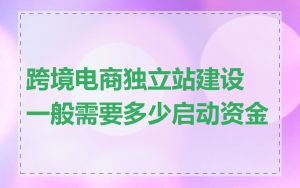 跨境电商独立站建设一般需要多少启动资金