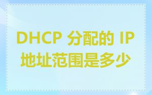 DHCP 分配的 IP 地址范围是多少
