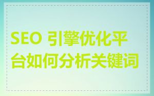 SEO 引擎优化平台如何分析关键词