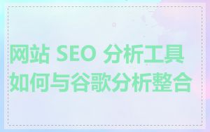网站 SEO 分析工具如何与谷歌分析整合