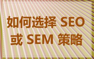如何选择 SEO 或 SEM 策略
