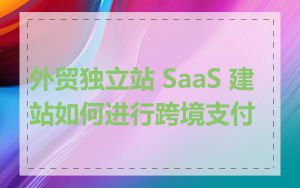 外贸独立站 SaaS 建站如何进行跨境支付