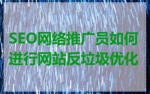 SEO网络推广员如何进行网站反垃圾优化