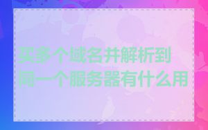 买多个域名并解析到同一个服务器有什么用