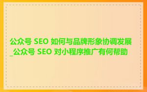 公众号 SEO 如何与品牌形象协调发展_公众号 SEO 对小程序推广有何帮助