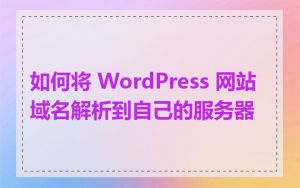 如何将 WordPress 网站域名解析到自己的服务器