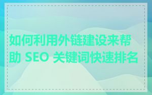 如何利用外链建设来帮助 SEO 关键词快速排名