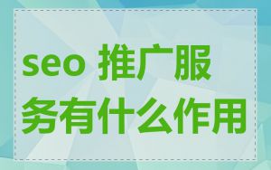 seo 推广服务有什么作用