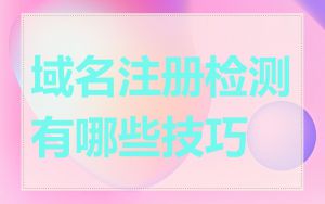 域名注册检测有哪些技巧