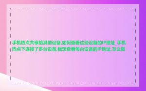 手机热点共享给其他设备,如何查看这些设备的IP地址_手机热点下连接了多台设备,我想查看每台设备的IP地址,怎么做