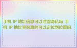 手机 IP 地址信息可以泄露隐私吗_手机 IP 地址查询真的可以定位到位置吗