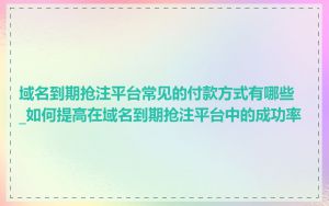 域名到期抢注平台常见的付款方式有哪些_如何提高在域名到期抢注平台中的成功率