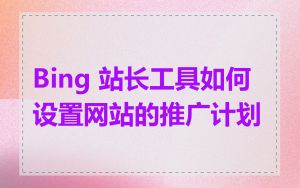 Bing 站长工具如何设置网站的推广计划