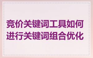 竞价关键词工具如何进行关键词组合优化