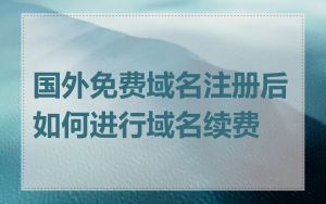 国外免费域名注册后如何进行域名续费