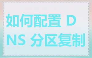 如何配置 DNS 分区复制