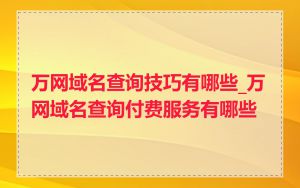 万网域名查询技巧有哪些_万网域名查询付费服务有哪些