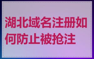 湖北域名注册如何防止被抢注