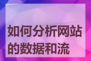 如何分析网站的数据和流量