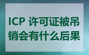 ICP 许可证被吊销会有什么后果