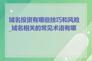 域名投资有哪些技巧和风险_域名相关的常见术语有哪些