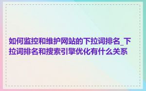 如何监控和维护网站的下拉词排名_下拉词排名和搜索引擎优化有什么关系