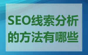 SEO线索分析的方法有哪些
