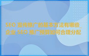 SEO 宣传推广的基本方法有哪些_企业 SEO 推广预算如何合理分配