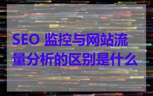 SEO 监控与网站流量分析的区别是什么