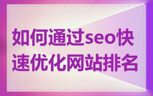 如何通过seo快速优化网站排名