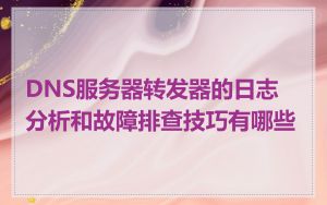DNS服务器转发器的日志分析和故障排查技巧有哪些