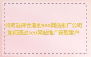 如何选择合适的seo网站推广公司_如何通过seo网站推广获取客户
