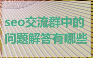 seo交流群中的问题解答有哪些
