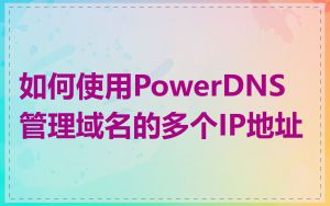 如何使用PowerDNS管理域名的多个IP地址